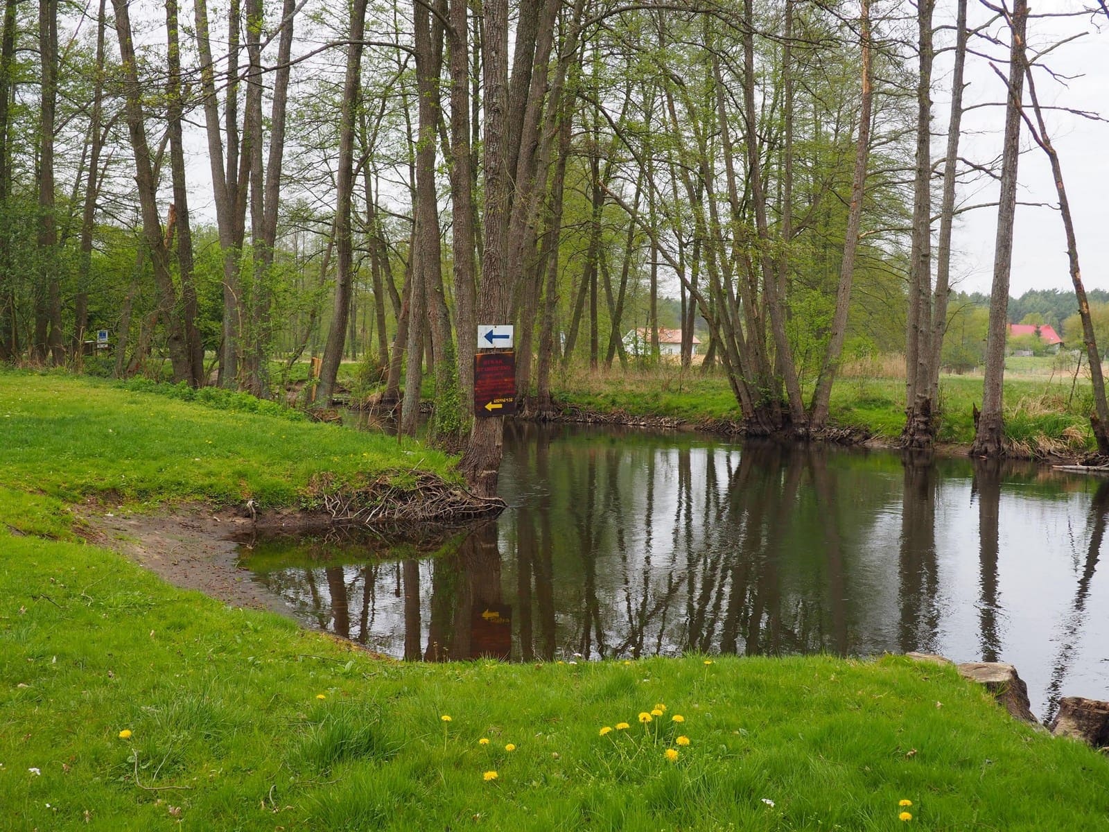 Biwak Osieczno — photo 8