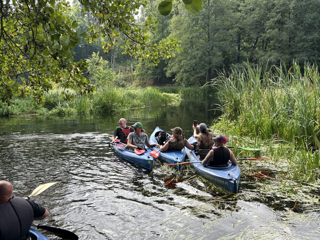 Kajaki w czasie spływu kajakowego po rzece Drawa w 2025 roku